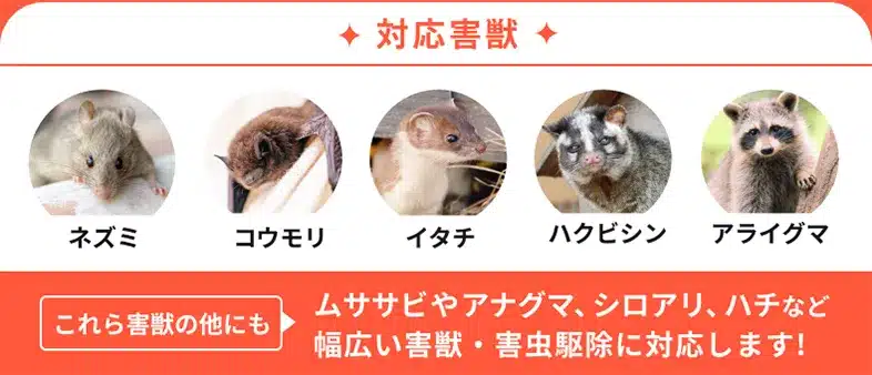 ハウスプロテクトの対応害獣