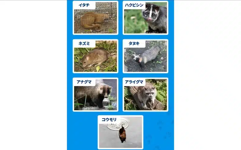 害獣セーフガードの対応害獣